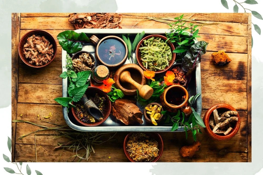 Find Your Inner Calm with Homeopathic Medicines to Treating Anxiety and Stress