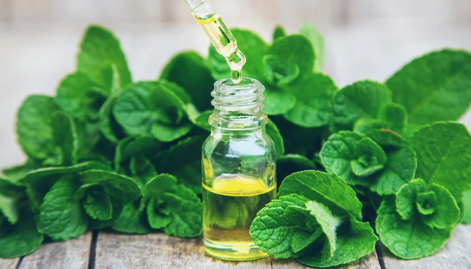 What is Case-Taking in Homeopathy, and Why Is It Necessary?