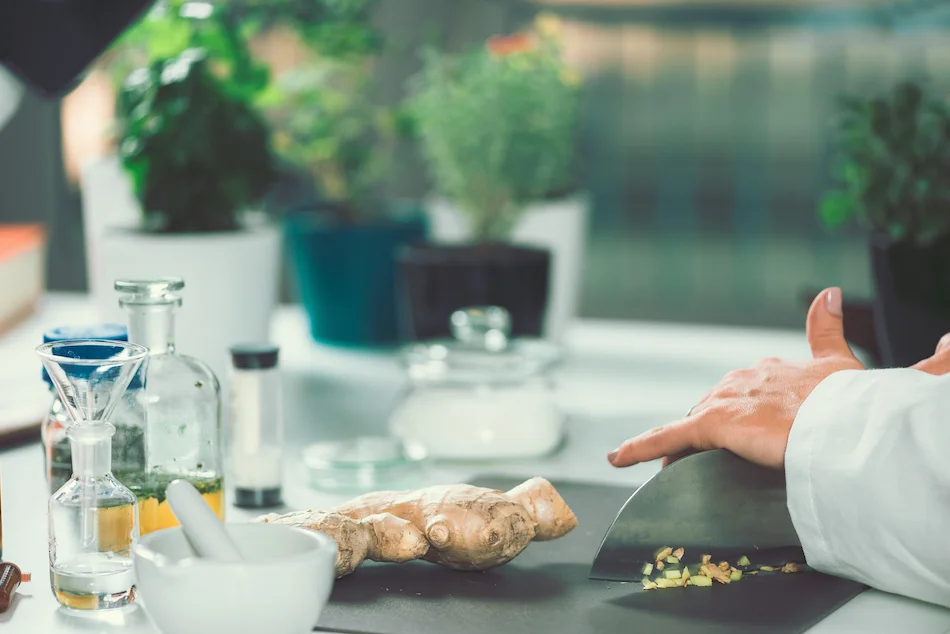 Understanding the Impact of Homeopathy on Long-term Health and Wellness